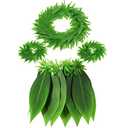 Skylety Hawaiian Leaf Hula Skirt and Leis Set Include Tropical Headband Fern Leaf Wristlet Green Grass Hula Skirt for Hawaiian Costume Halloween Luau Party Supplies for Adult Women