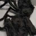 JAMIEWIN Giant Spider for Halloween Decoration 2 Pack, 55 inch Large Hairy Fake Spider Props, Scary Halloween Spider Decoration Outdoor Indoor House Party Yard