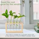 15Pcs Clear Test Tubes for Plant, 20ml Plant Propagation Tube with Brush, Plastic Test Tubes for Hydroponic Plants, Flowers, Home Office Wall Decor (12cm), Transparent