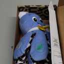 Baby Einstein Octoplush Musical Huggable Stuffed Animal Plush Toy, Learn Colors in 3 Languages, Blue, 11" Age 3 Month and up,