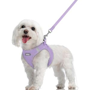 rabbitgoo Dog Harness Small Sized and Leash Set, Step in Soft Light Puppy Vest, Breathable Mesh Pet Harness, Reflective for Safe Easy Walking, Light Purple M