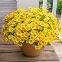 Daisy Artificial Flowers for Outdoors Decoration, 6 Bundles Fake Plants Flowers Bouquet Faux Flowers for Outdoor Planter Look Real UV Resistant Silk Flowers for Outside Front Door Porch Patio, Yellow