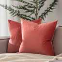 JUSPURBET Decorative Pillow Covers Set of 2 Velvet Throw Pillow Covers for Couch Sofa Bed Soft Cushion Covers Cases with Hidden Zipper for Living Room Home Decor 24x24 inch,Coral