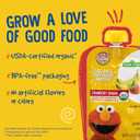 Earth's Best Organic Yogurt Smoothie Pouches for Toddlers 24 Months+, Strawberry Banana, Fruit Yogurt, 4.2 oz Resealable Pouch, Pack of 12 (EXP 08/01/26)