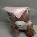Hollowfly Graduation Bears 2025 Plush Stuffed Animal Bear with Gown Cap Tassel Set Cute Brown Graduate Gifts Stuffed Animal Doll Plush Toy for Party Supplies(13.8 Inch,Pink)