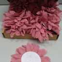 MECCANIXITY Chiffon Flower, 4 Inch Fabric Flowers Bows Sewing Fabric Appliques Headband Embellishments for Crafts Dresses DIY Party Wedding Decoration Dark Pink Pack of 20