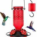 Glass Hummingbird Feeder