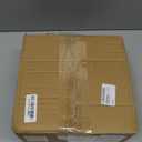 Two's Company Verre Hand-Blown Bud Vases, Glass, Set of 5