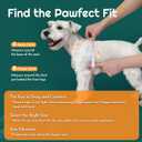 Eagloo Small Dog Harness and Leash Set, Step in Puppy Vest with Breathable Soft Mesh, Walking Reflective Pet Harness for Small Dogs, Forest Green, S