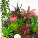 Niuohoy 16 Pcs Artificial Succulents Plants Faux Plastic Succulents Assortment in Green & Colorful Tones for DIY Crafts, Floral Walls, Home, Garden, Office Decor, Party & Cake Decorations