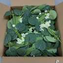 6 Pcs Green Artificial Eucalyptus Swag Wreaths Spring Summer Candle Rings Wreath with White Berries Mini Green Kitchen Cabinet Wreaths with Ribbon for Front Door Porch Wall Window Farmhouse Decoration