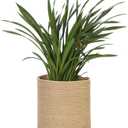 MEGASKET Woven Jute Plant Basket, Wicker Basket Planter for 11 inch Pot, Round Indoor Tree Pot Cover, Small Boho Storage Bin Organizer, Rustic Planter and Home Decor, 12.5 x 12.5