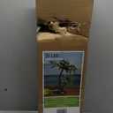 LIGHTSHARE 24Inch Twins Palm Tree Bonsai 25LED Lights,Green Light,Battery Powered or Plug-in Adapter (Included), Built-in Timer