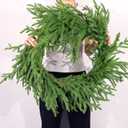 6 FT Christmas Norfolk Pine Garland Real Touch Artificial Faux Greenery Pine Christmas Garland Decorations for Home Mantle Table Stairs Door Fireplace Indoor Outdoor Xmas Holiday Decor