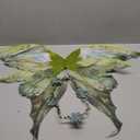 Fairy Wings Costume Set for Adults - Cosplay Accessories Butterfly Wings with Elf Ears, Fairy Flower Arm Wrap for Halloween (Green)