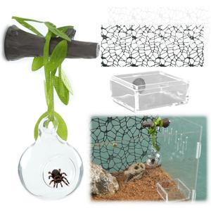 5Pcs Jumping Spider Hide Enclosure Habitat Accessories with Decoration Glass Ball, Feed Bowl and Climbing Web, Spider Hideout Accessories, Suitable for Small Reptile (Not Included Enclosures)