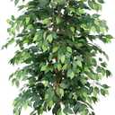 Ficus Tree Artificial 6ft, Tall Fake Tree with Realistic Leaves & Trunk, Artificial Tree for Home Office Living Room Decor Indoor Outdoor.