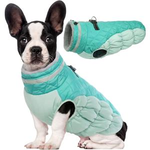 Lelepet Warm Dog Winter Coat - Fleece Dog Jacket with Built-in Harness, Windproof & Waterproof, Reflective Turtleneck, Coats for Small Dogs, Neo Mint, XS
