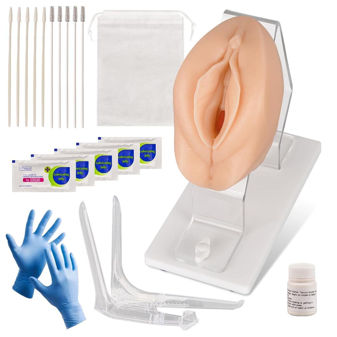 Pelvic Health Model, Vaginal Training Model for Science Education, Gynecological Examination Vulva Anatomical Model for Demonstration
