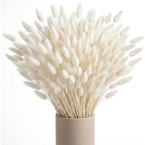 JOHOUSE 120PCS Dried Pampas Grass Decor, 17inch White Bunny Tails Dried Flowers, Bunny Tails Handpicked Bunch, Boho Flowers Home Table Decor, Wedding Decorations for Home
