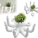 Octopus Planter, Octopus Air Plant Holder, Octopus Macetas Decorativas, Small Plant Holder, Air Plant Holder, Plant Pots or Flower Pots for Indoor Plants, 1 Pack