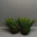 Nearly Natural Leather Fern with Mossy Hanging Basket (Indoor/Outdoor) (Set of 2)