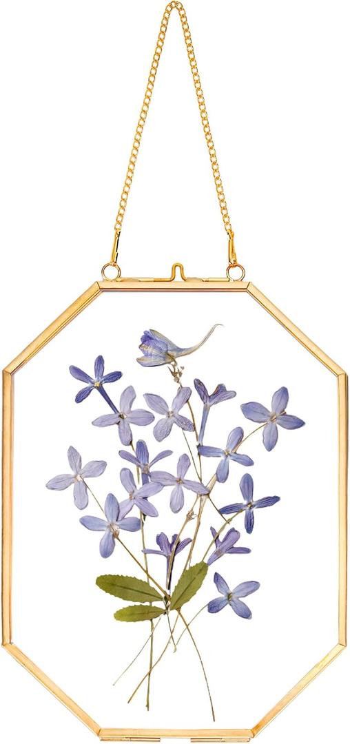 REDHUGO Pressed Flower Frames, Glass Floating Frames for Display Dried Plant Specimen Picture, Hanging Brass Photo Frame with Chain, Double Clear Glass, Vintage Wall Decor, Octagon, Gold, 5x7 Inches