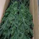 Costway 8ft App-Controlled Pre-lit Christmas Tree w/ 15 Modes Multicolor Lights