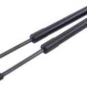 ApplianPar 2Pcs Front Hood Lift Support Shock Struts for BMW 640i 650i 520i 528i 523i Left and Right Side