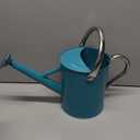 Metal Watering Can for Outdoor and Indoor Plants, Watering Can Decor, 1 Gallon (Leaf Green)