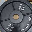 Body-Solid Cast Iron Olympic Single Weight Plate - Free Weights, Dumbbell Plates, 2 Inch Standard Hole for Barbell
