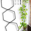 Plant Trellis for Climbing Plants Indoor, 7.5(ft) L Chain Metal Plant Supports for Potted Plants, Garden Plant Wall Trellis for Ivy Hoya Pothos Flower, 18 Hexagons