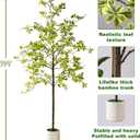 Erimda Faux Black Olive Tree 7ft, Faux Plants Indoor Large Tall Tree Artificial Shady Lady Tree with Natural Wood Trunk & Realistic Leaves, Fake Olive Plant for Home Office Indoor Decor, 7"D x 6"W x 84"H