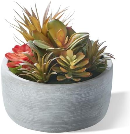 yel canby Artificial Succulent Plants Potted Indoor with Ceramic Pot - Fake Low Maintenance Plants for Bedroom, Bathroom, Coffee Table Decor - Home Office Desk & Room Aesthetics
