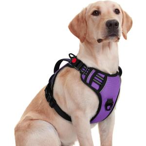 rabbitgoo Dog Harness for Large Dogs, No Pull Pet Harness with Soft Padded Handle, Adjustable Reflective Vest with 3 Buckles, Easy Walking Harness with 2 Leash Clips, Purple, M