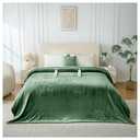LunaHush Electric Heated Blanket Queen Size, Dual Control Fast Heating Sherpa Blanket, 8 Heating Levels & 10 Hours Auto Off, Machine Washable with ETL & FCC Certified, Green