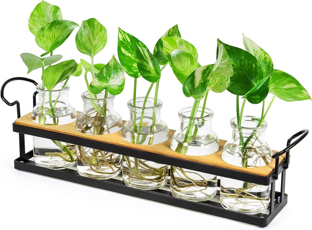THYGIFTREE Plant Propagation Stations with Metal Stand, Tabletop Plant Terrarium for Propagating Hydroponic, Retro Glass Planter Flower Vase Home Kitchen Office Decor Gifts, 5 Jars (Black  5 Tray)