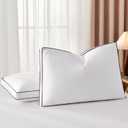 DOWNSTORIA Goose Feather Down Pillow US King Size 2 Pack