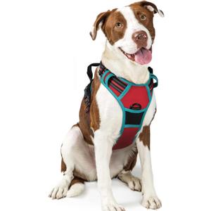 rabbitgoo Dog Harness No Pull with 2 Leash Clips, Adjustable Soft Padded, Reflective Oxford No Choke Pet Vest with Easy Control Handle for Large Dogs, Red & Teal, L