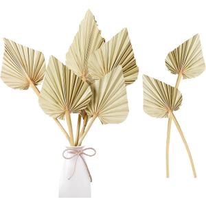 Sggvecsy Boho Dried Palm Leaves - 10 Pieces, 14.2'' Natural Palm Spears and Fans for Flower Bouquet, Boho Wedding, Home Party, Kitchen Vase, Farmhouse Table Arrangements and Anniversary Decor