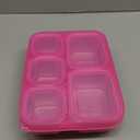 Freshmage Stainless Steel Snackle Box Container, 5 Compartment Lunch Bento Box, Reusable Food Storage Snack Box for School, Work, and Travel, BPA Free and Dishwasher Safe, Pink (1 Pack)