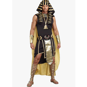 Dreamgirl Men's Adult Fashion King of Egypt King Tut Costume, Gold Small