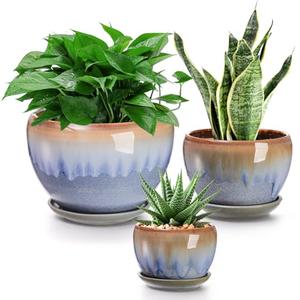 AVLA 3 Pack Ceramic Plant Pots, Gardening Drip Glazed Planters, Decorative Flower Pot with Drainage Hole and Saucer, Round Rustic Houseplant Container for Succulent Herbs Cactus Orchid, Home Office