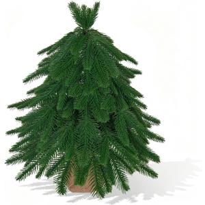20IN Small Mini Christmas Tree for Tabletop, 1PC Artificial Desktop Christmas Tree with Norfolk Pine Top Design, Small Xmas Tree with Burlap Base for Table Desk Home Christmas Decor