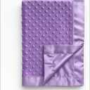 Pro Goleem Baby Soft Minky Dot Blanket with Silky Satin Backing Baby Gifts for Boys and Girls (Purple, 30’’ x 40’’)