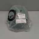 Skateboard Bike Helmet, Lightweight Adjustable, Multi-Sport for Bicycle Skate Scooter, 3 Sizes for Adult Youth & Kids (Large: 57-61 cm / 22.4"-24", Matte Blackish Green)