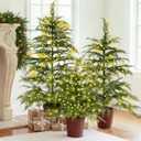 Set of 3 2ft 3ft 4ft Pre-lit Twinkle Christmas Cypress Tree with 180 LED Light Realistic Artificial Trees with Woven Basket Base Xmas Holiday Decor for Indoor Living Room Home (Cypress Tree)