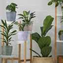 CroBlissful 5 Pack Flower Pots 5 Inch Outdoor Plant Pots for Indoor Marble Pattern Plastic Tree Planters with Drainage Holes Gardening Gifts for Patio Home Garden Desk Decoration