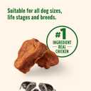 Nutrish Savory Roasters Chicken Recipe Premium Dog Treats, 30 oz. Pouch (Rachael Ray) (EXP 10/02/26)