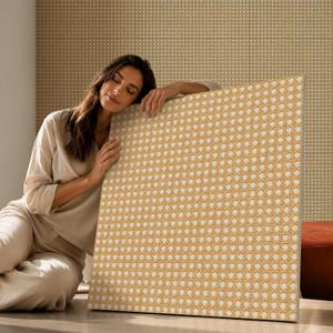 Acoustic Wall Panels, Cane Lattice
6-Piece 23.62 X 23.62 Inches, Sound Absorbing Panels, Peel and Stick Wall Panels, Acoustical Soundproof Wall Decor